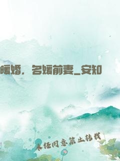 暖婚，名媛前妻