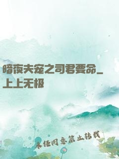 暗夜夫宠之司君要命