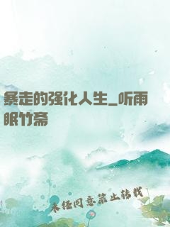 暴走的强化人生