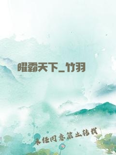 曜霸天下