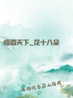 曜霸天下