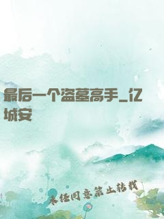 最后一个盗墓高手