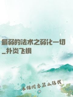 最弱的法术之弱化一切