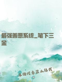 最强善恶系统