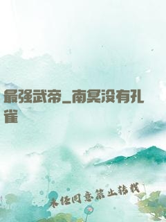 最强武帝