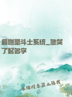 最燃圣斗士系统
