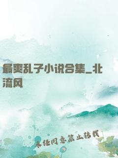 最爽乱子小说合集