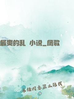 最爽的乱惀小说