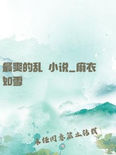 最爽的乱惀小说