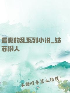 最爽的乱系列小说