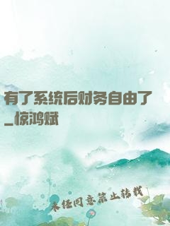 有了系统后财务自由了