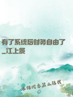 有了系统后财务自由了