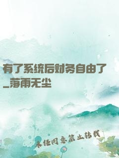 有了系统后财务自由了