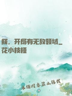 朕，开局有无敌领域