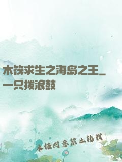 木筏求生之海岛之王