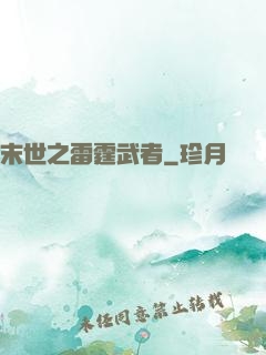 末世之雷霆武者