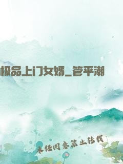极品上门女婿