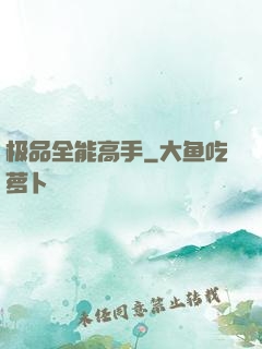 极品全能高手