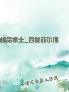 极品术士