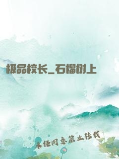 极品校长