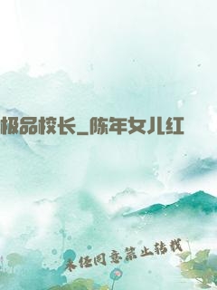 极品校长