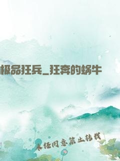 极品狂兵