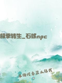 极拳转生