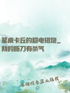 某皮卡丘的超电磁炮