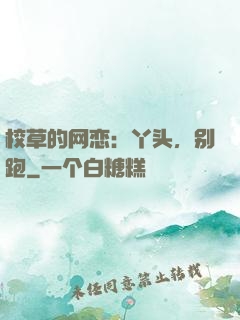 校草的网恋：丫头，别跑