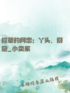 校草的网恋：丫头，别跑