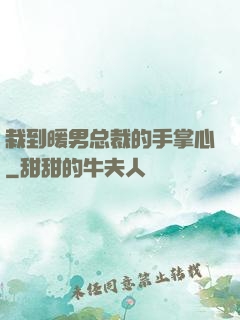 栽到暖男总裁的手掌心