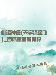桃运神医(天宇流星飞)