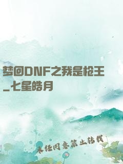 梦回DNF之我是枪王
