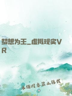 梦想为王
