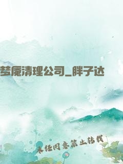 梦魇清理公司