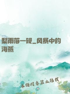 梨雨落一砚