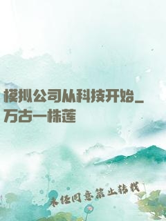 模拟公司从科技开始