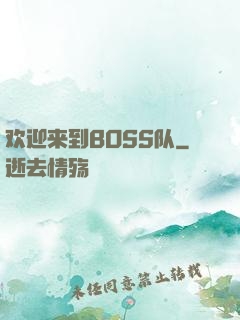 欢迎来到BOSS队