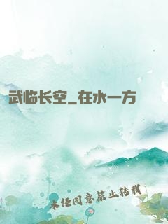 武临长空