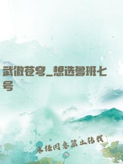 武傲苍穹