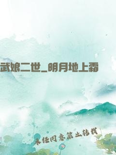 武娘二世