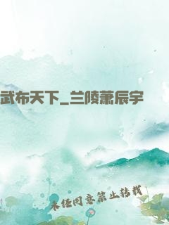 武布天下