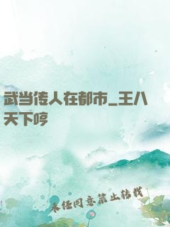 武当传人在都市