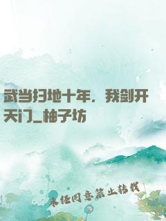 武当扫地十年，我剑开天门
