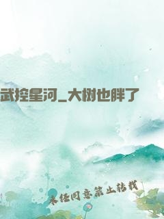 武控星河