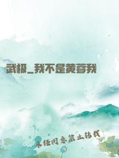 武极