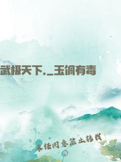 武极天下.