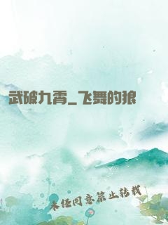 武破九霄