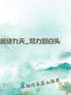 武绝九天