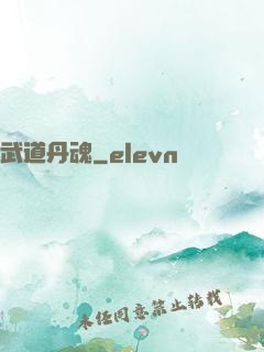 武道丹魂